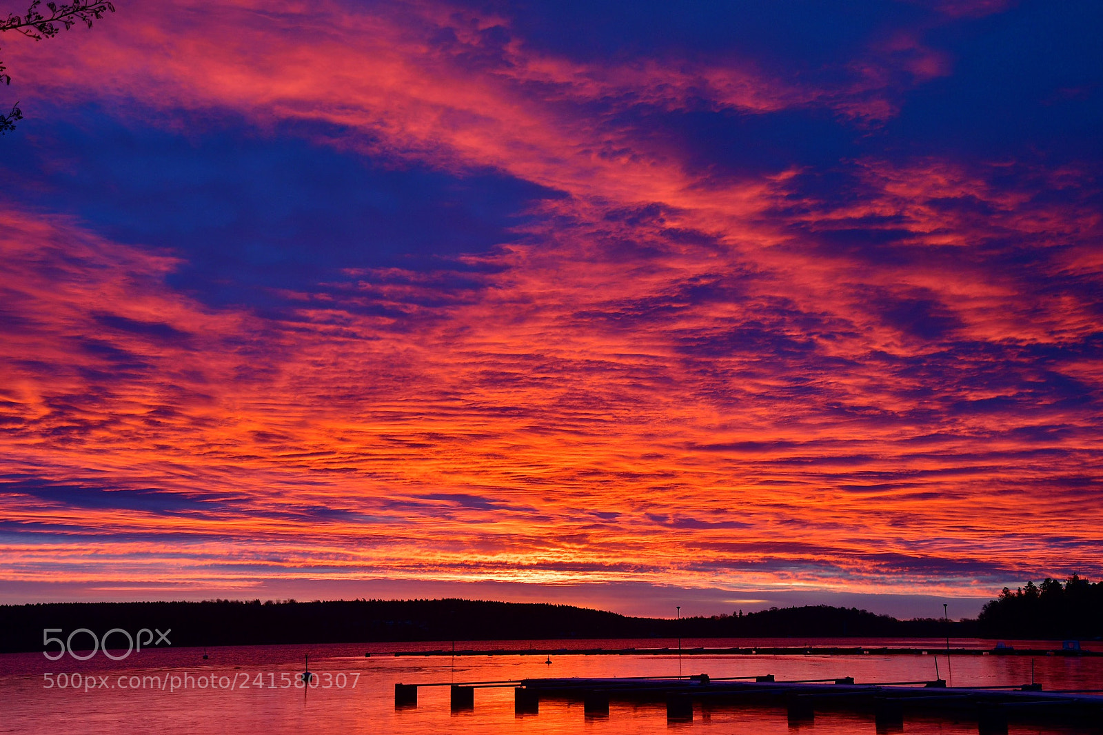 Nikon D500 sample photo. Fire in the sky photography