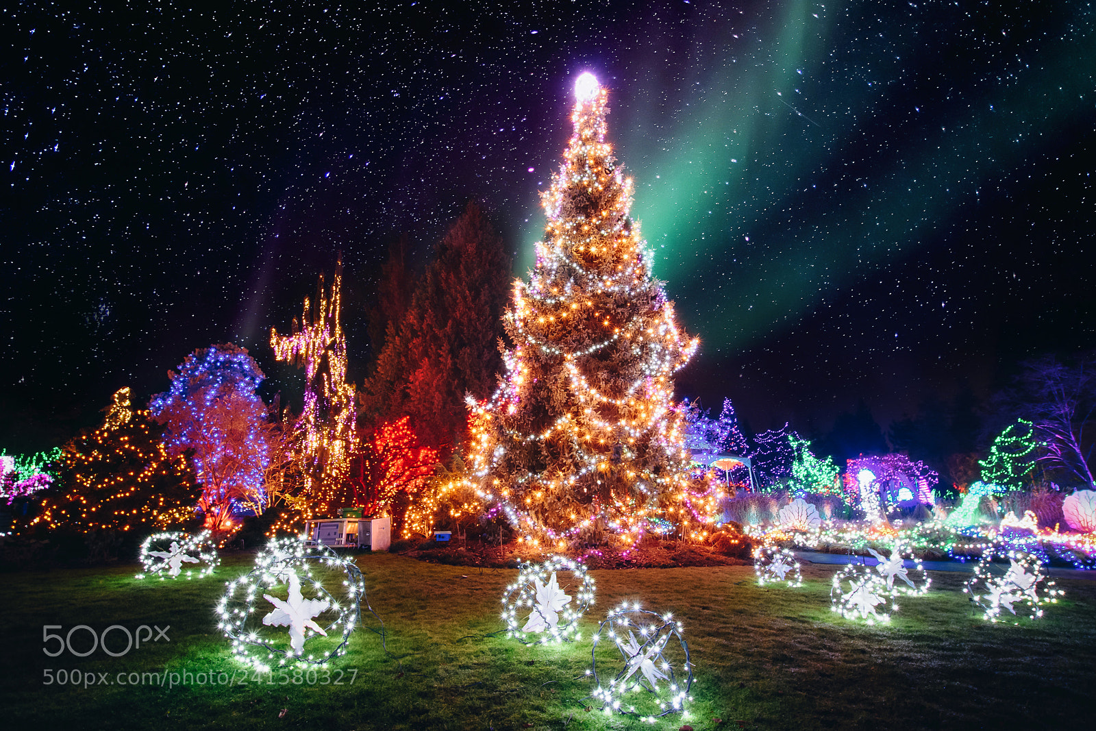 Nikon D7200 sample photo. O christmas tree photography