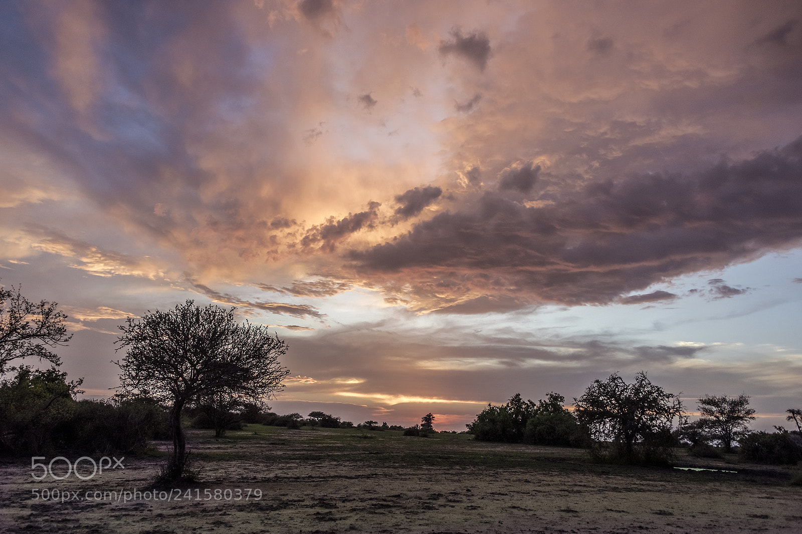Nikon D810 sample photo. Serengeti sunset photography