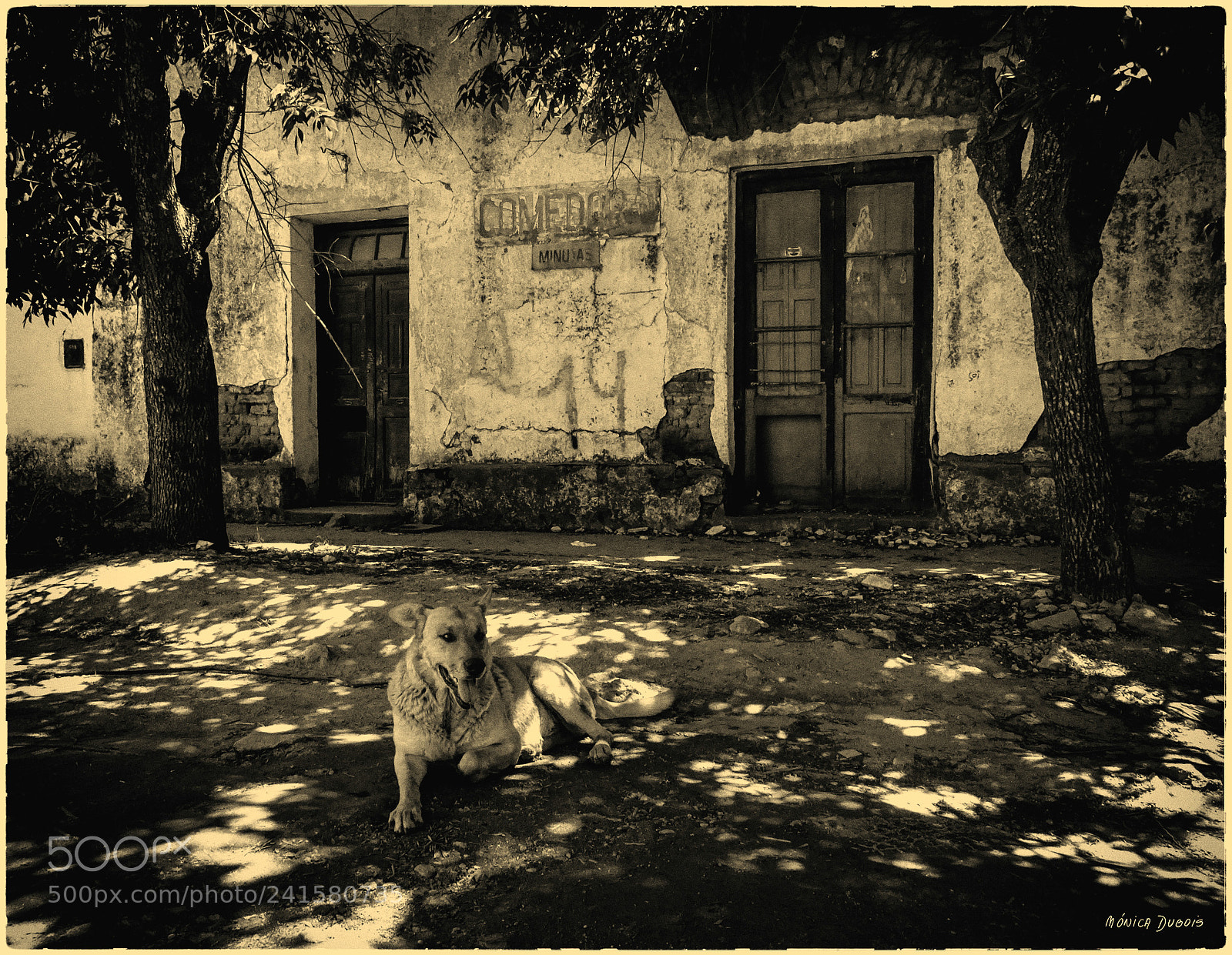 Sony Cyber-shot DSC-HX400V sample photo. Casa vintage photography
