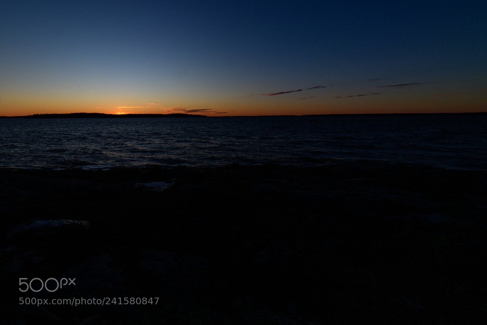 Nikon D850 sample photo. Ängsö (av ) photography