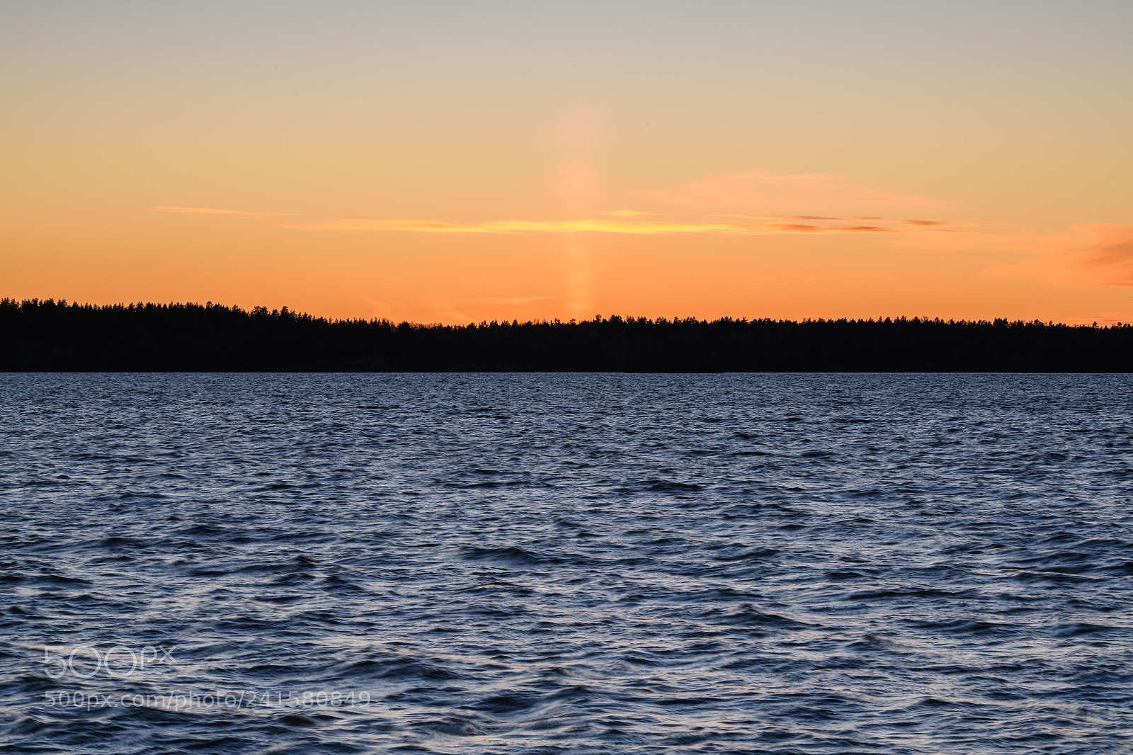 Nikon D850 sample photo. Ängsö (av ) photography