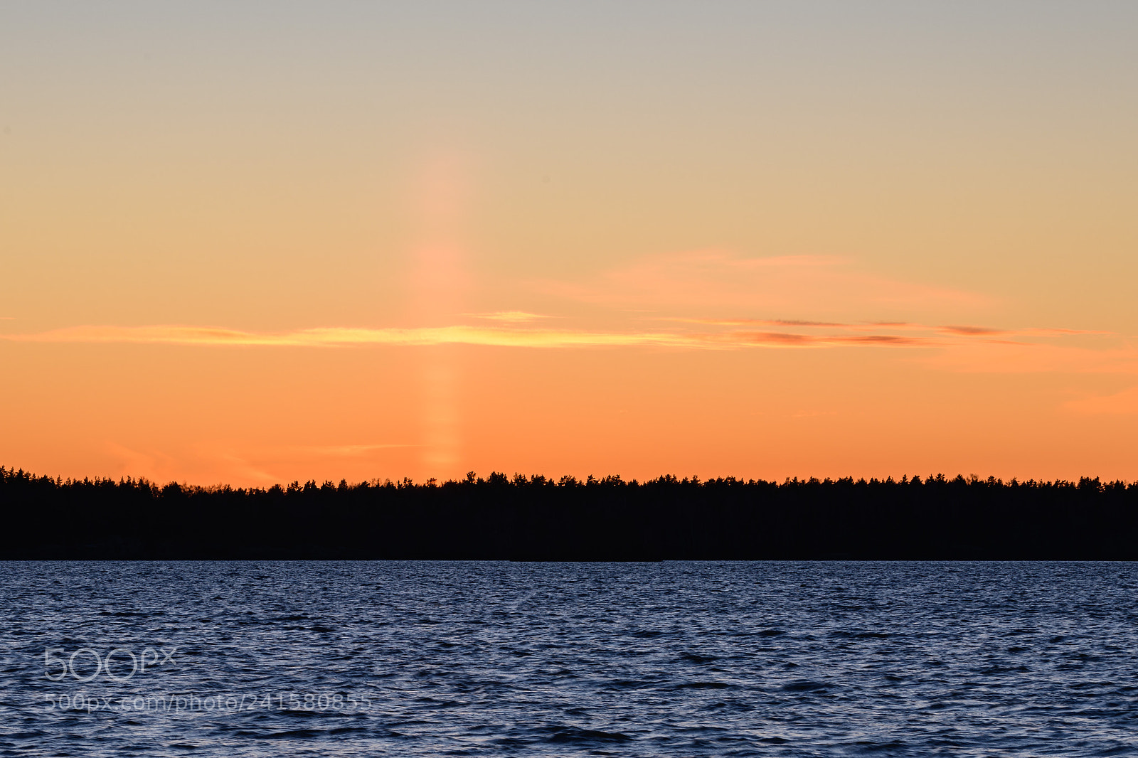 Nikon D850 sample photo. Ängsö (av ) photography