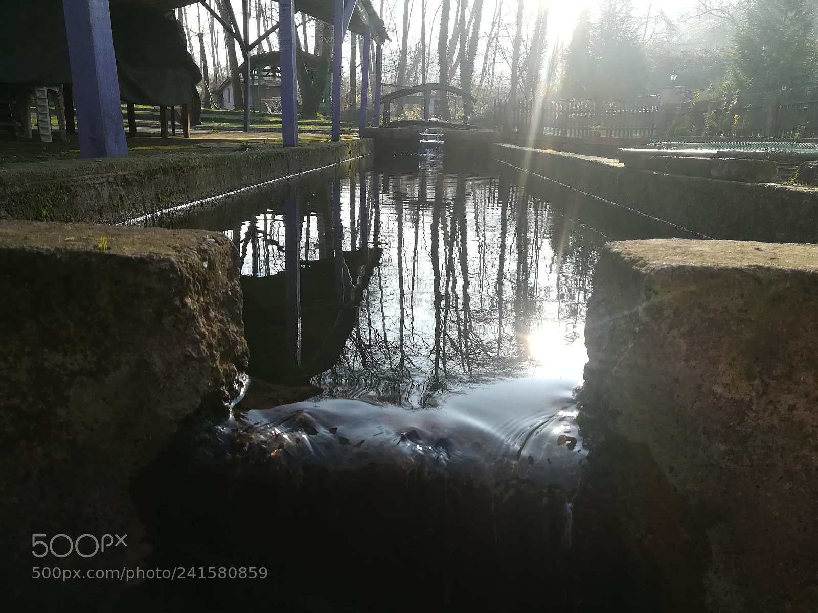 HUAWEI PRA-LX1 sample photo. Untitled photography