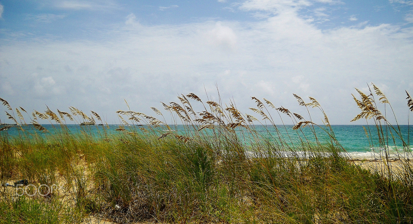 Nikon Coolpix L20 sample photo. Sea breeze photography