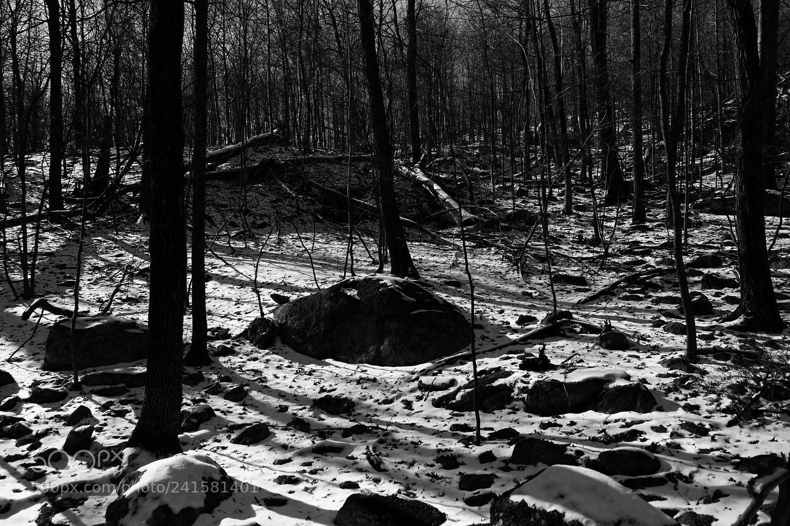 Fujifilm X-T2 sample photo. Winter shadows photography