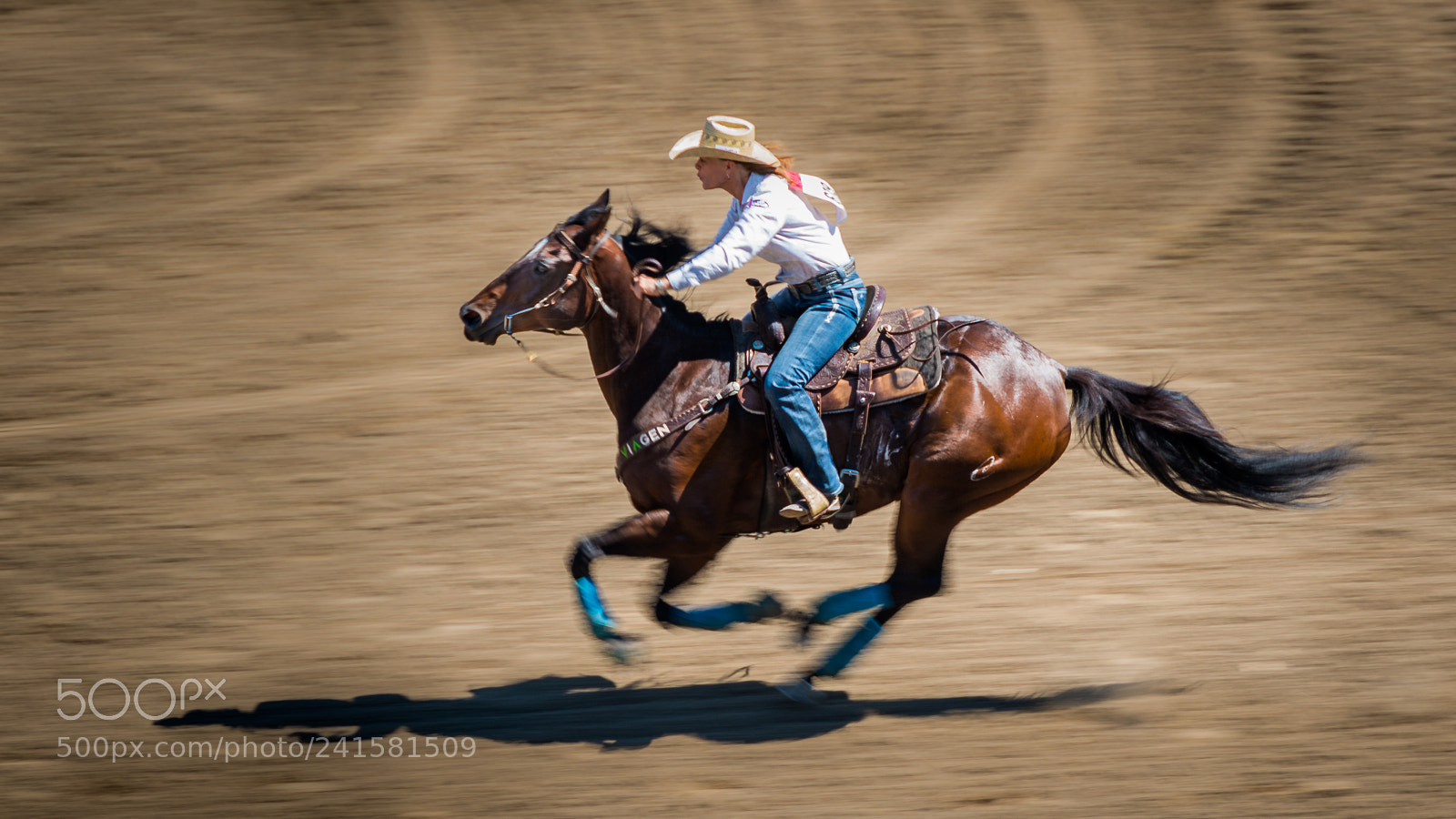 Nikon D800 sample photo. Ride like the wind photography