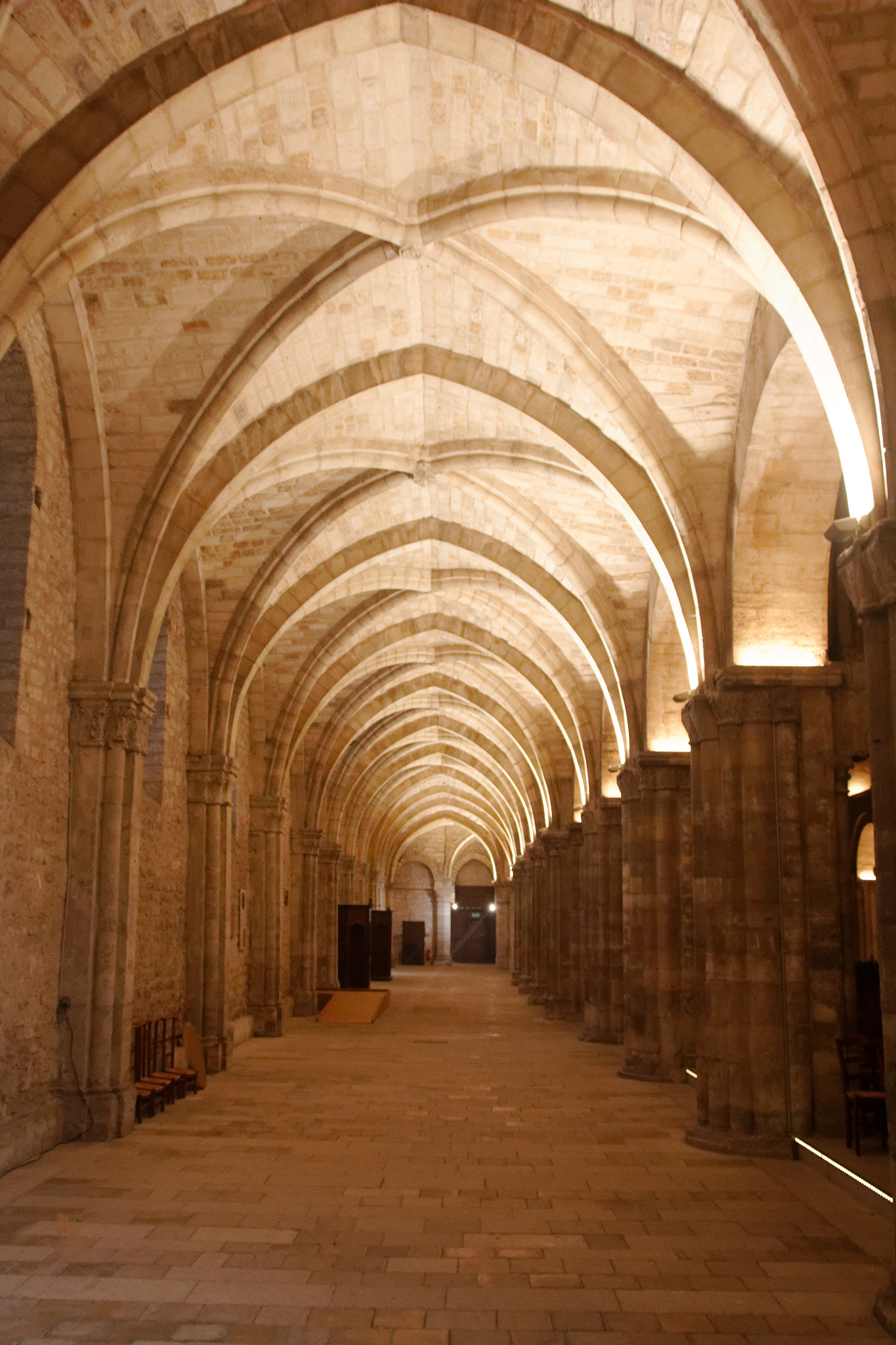 Canon EOS 60D sample photo. Basilique saint-rémi à reims photography