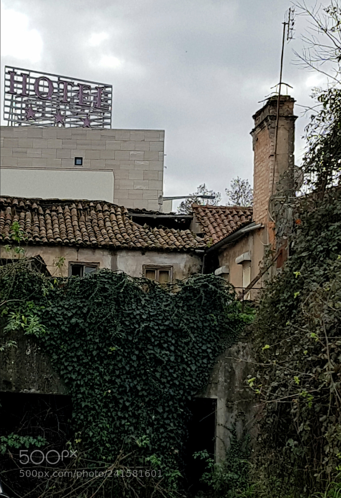 Samsung Galaxy S7 Edge sample photo. Contrastes photography