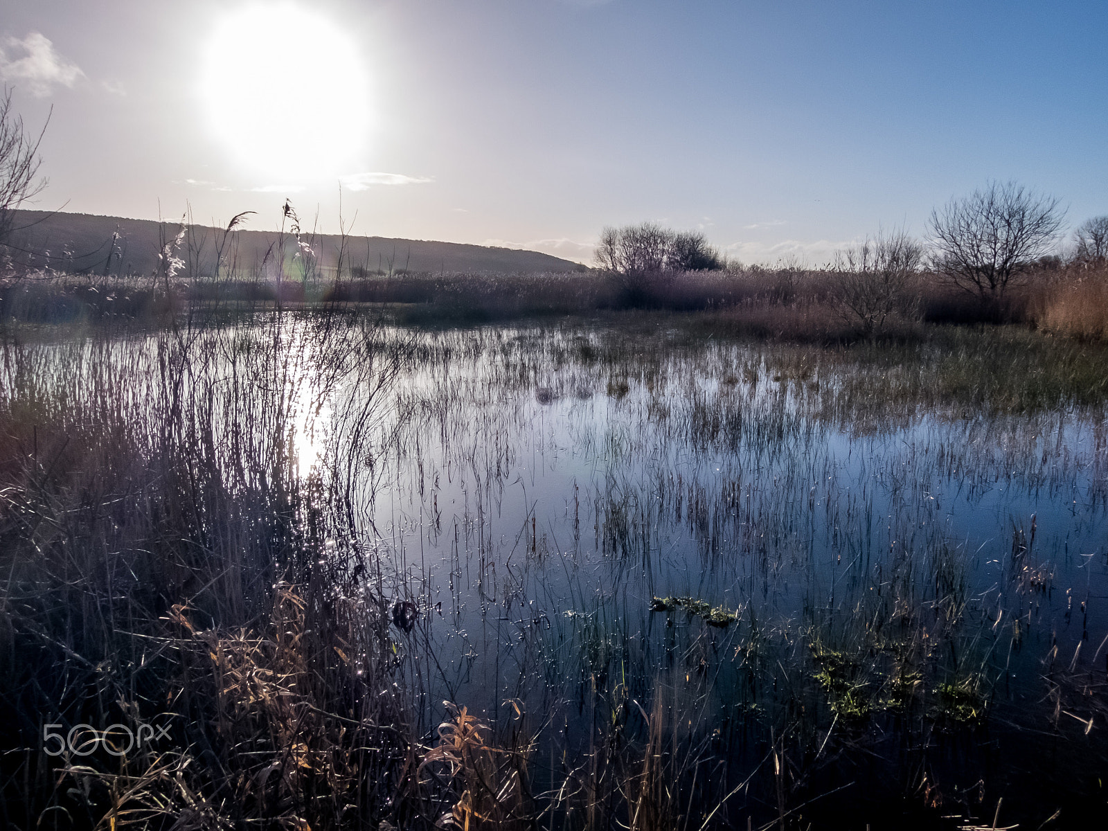 Fujifilm XQ2 sample photo. Winter sunlight photography