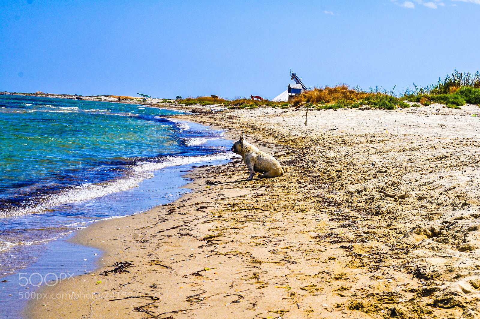 Nikon D5000 sample photo. Sniffling waves photography