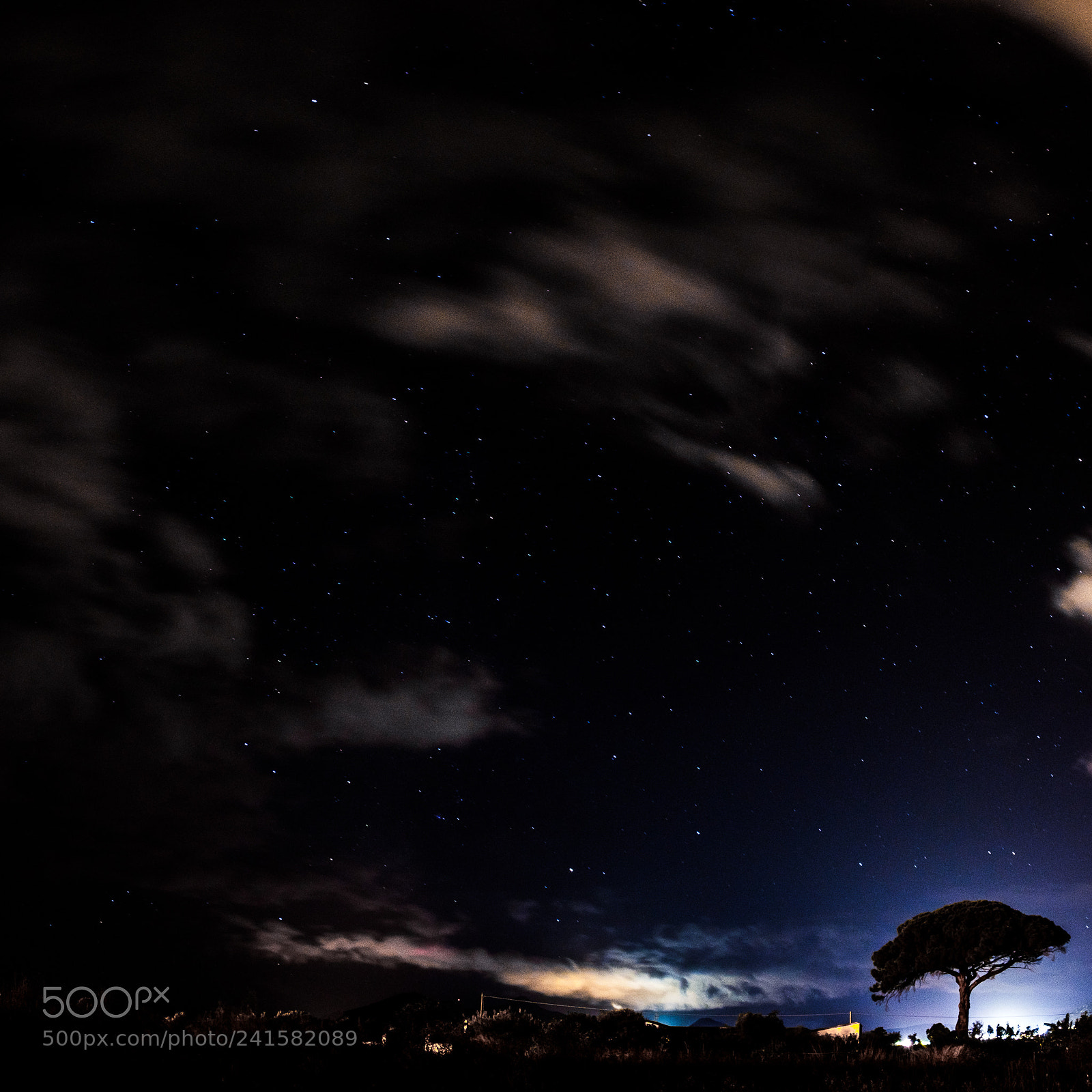 Fujifilm X-T20 sample photo. Startree photography