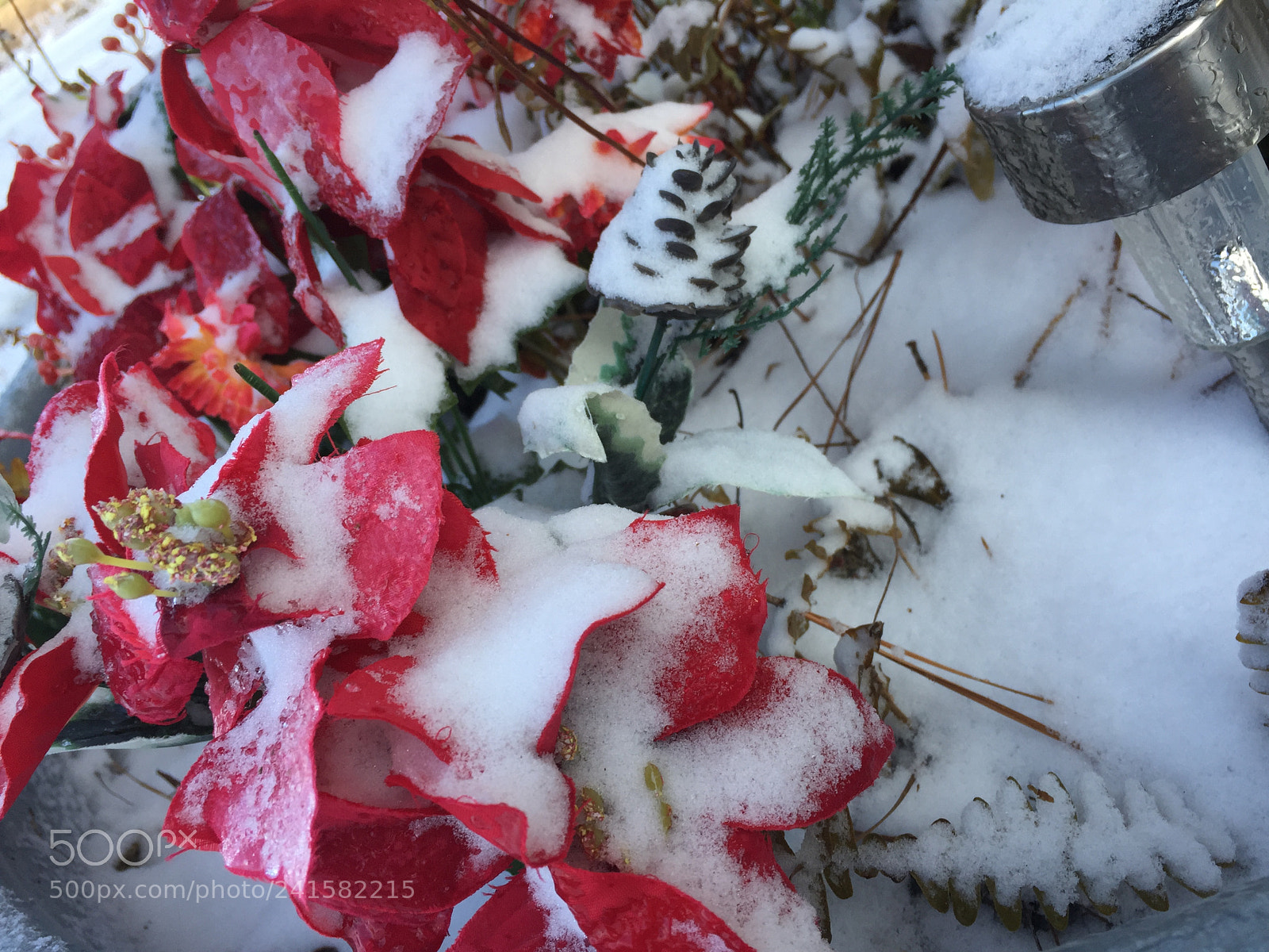 Apple iPhone 6 sample photo. Snowy day photography