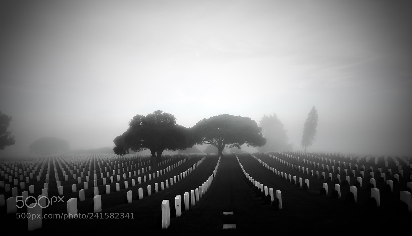 Nikon Coolpix L830 sample photo. Of wars and heroes photography