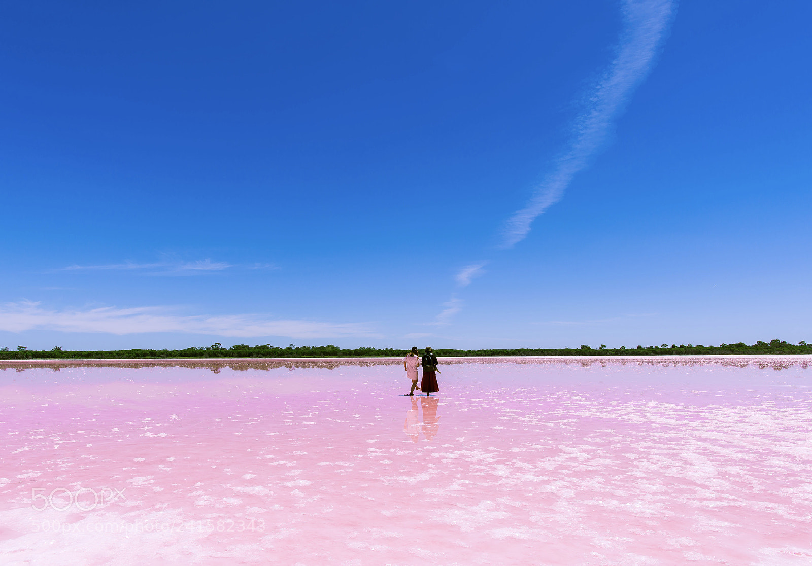 Nikon D800 sample photo. The pink lake and photography