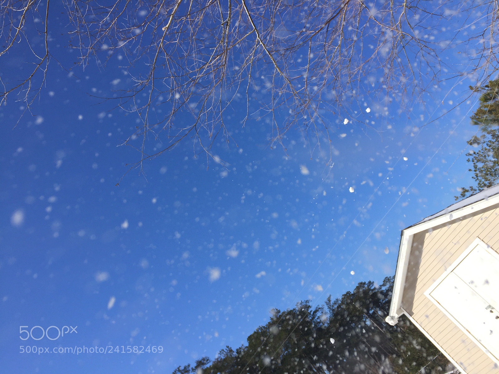 Apple iPhone 6 sample photo. Falling snow photography