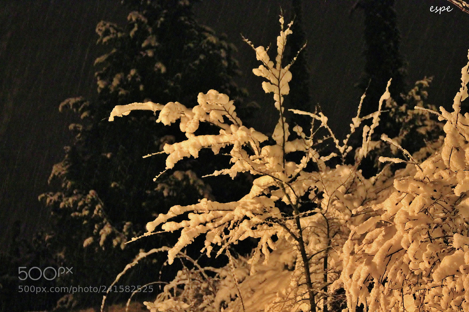Canon EOS 1100D (EOS Rebel T3 / EOS Kiss X50) sample photo. Nieve nocturna photography