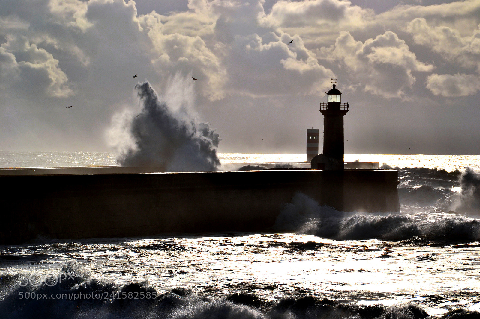 Nikon D3100 sample photo. Farol de felgueiras photography