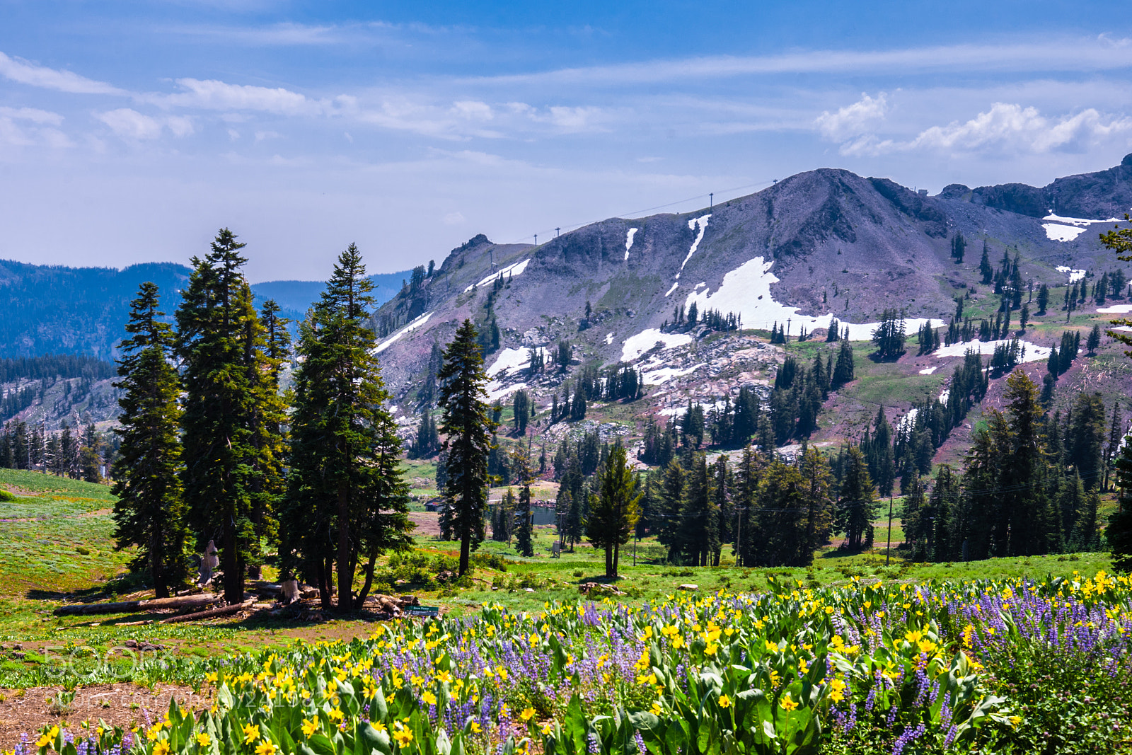 Sony a7 sample photo. Tahoe photography