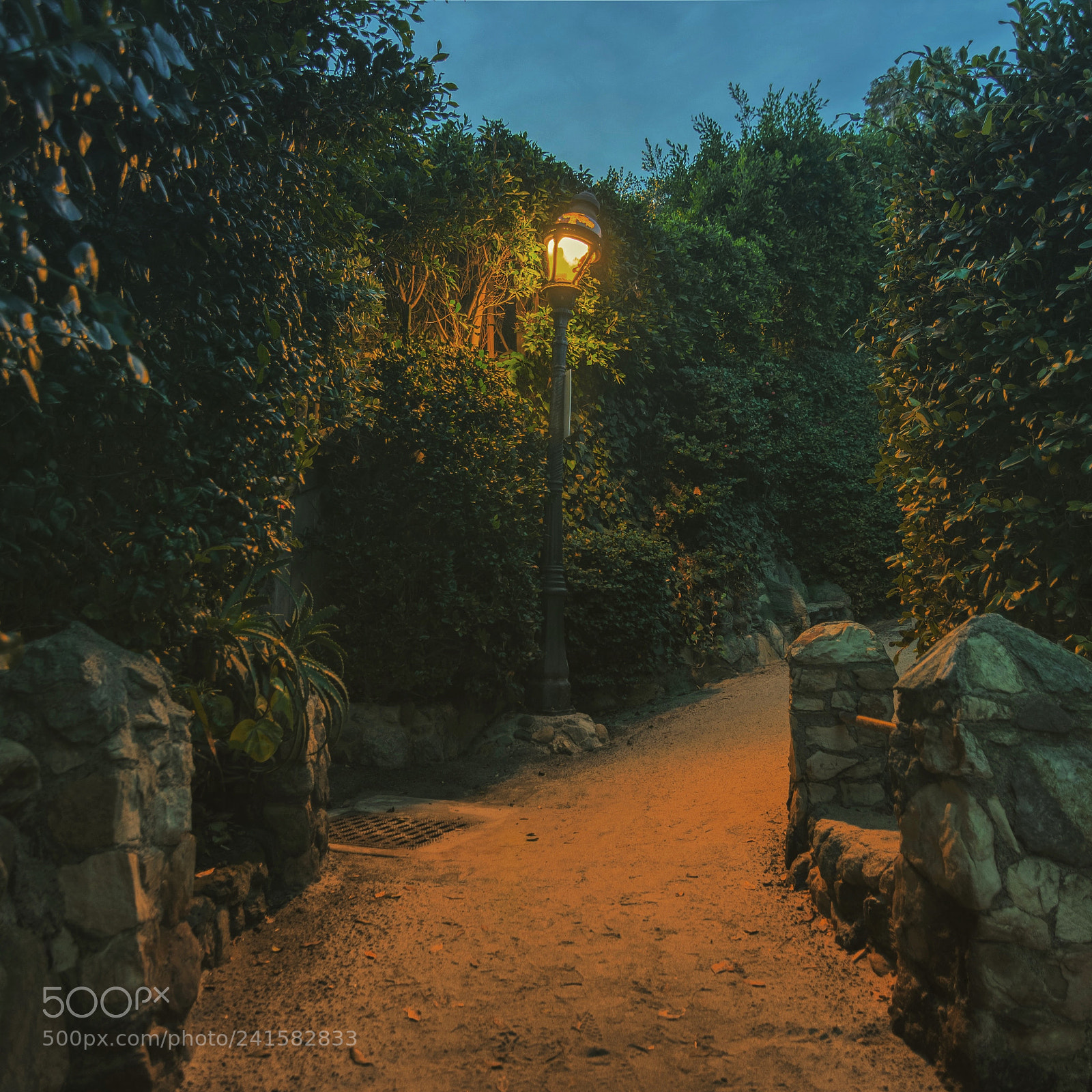 Nikon D7200 sample photo. Shot at dusk on photography