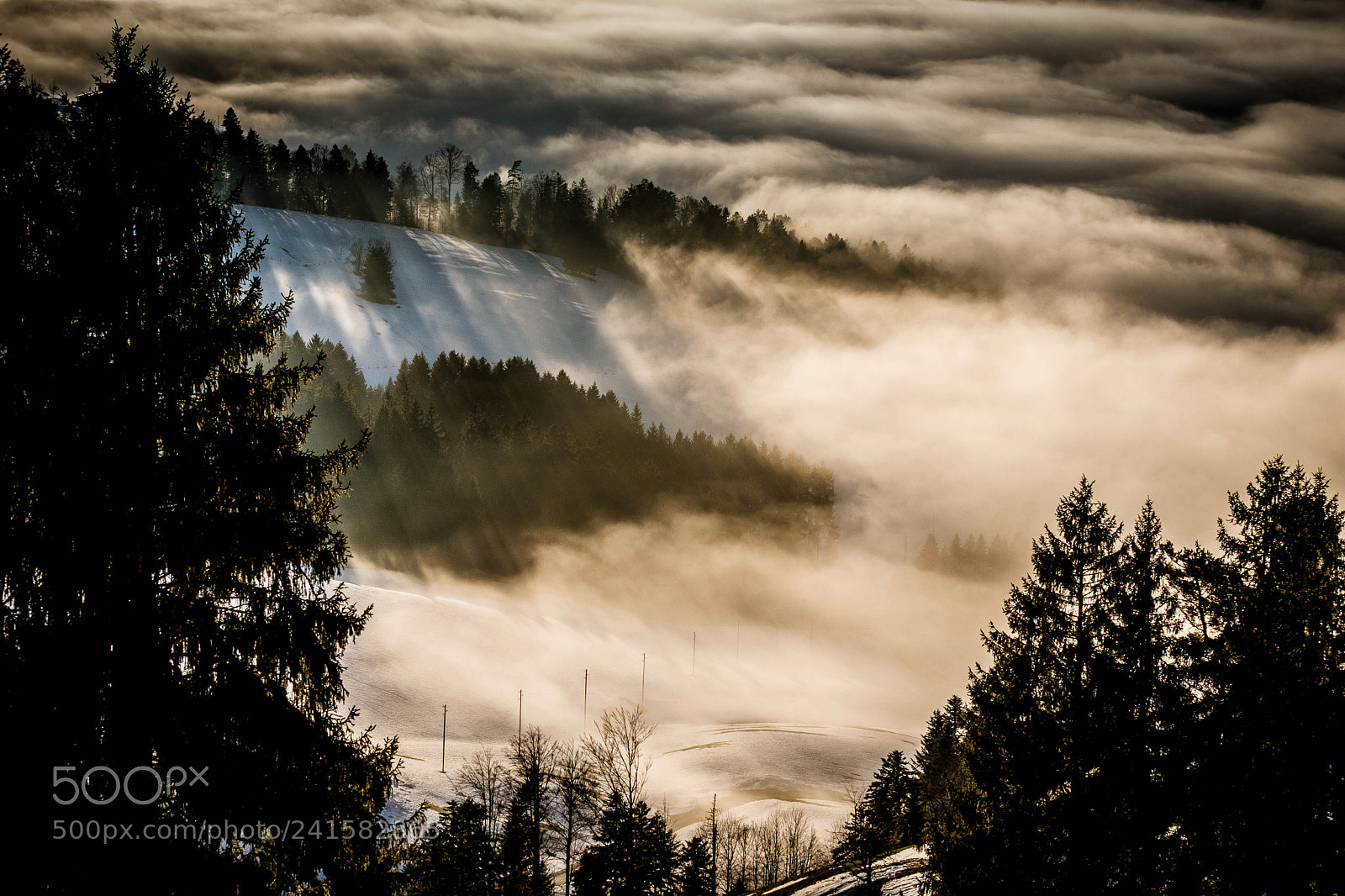 Fujifilm X-T2 sample photo. Sunny and foggy landscape photography
