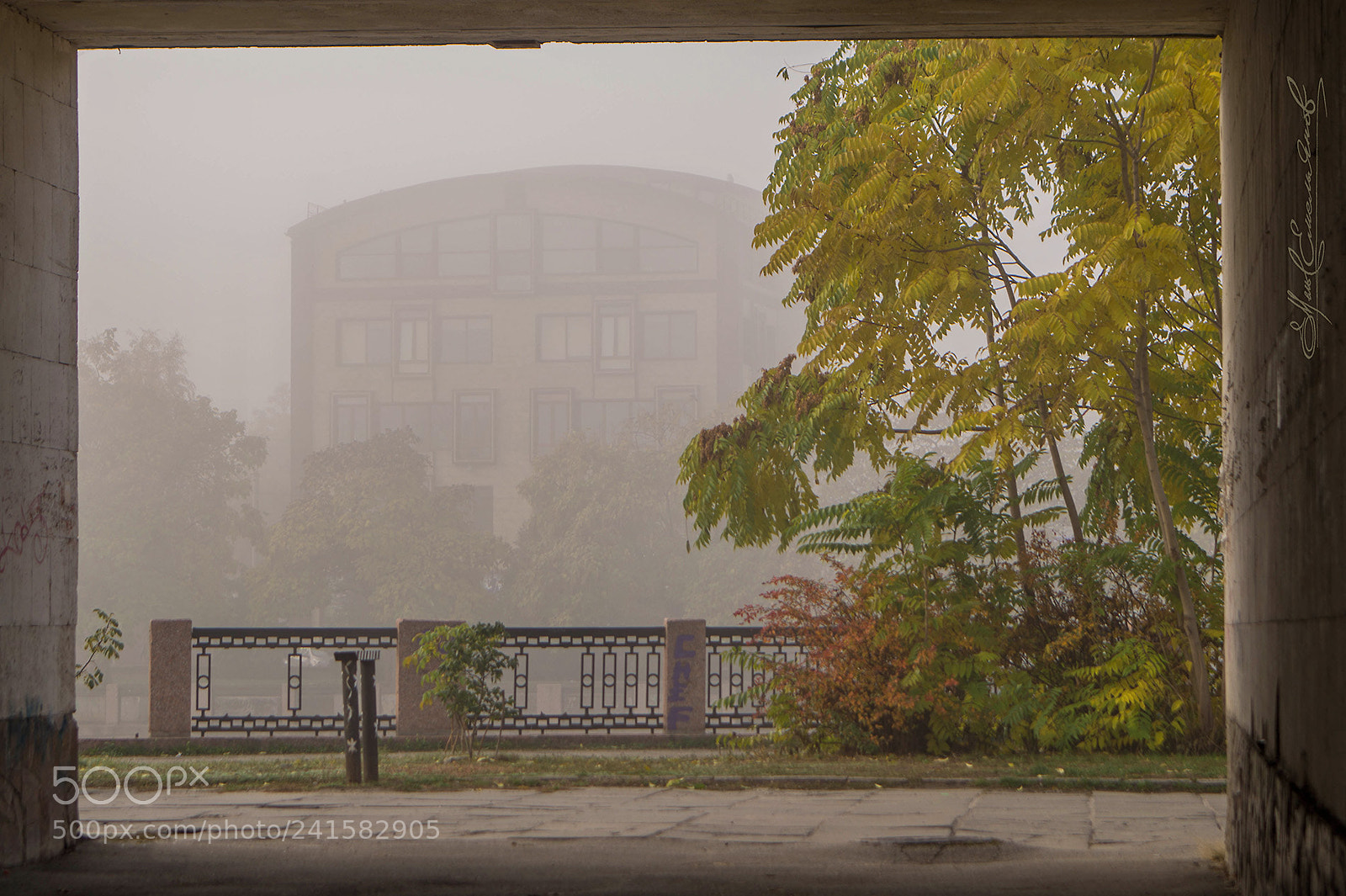 Sony SLT-A58 sample photo. Misty morning ... photography