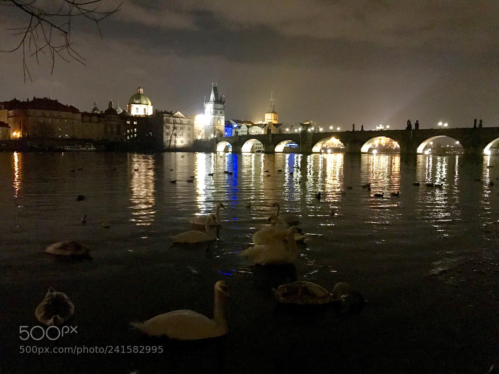 Apple iPhone 7 Plus sample photo. Vltava swans at night photography