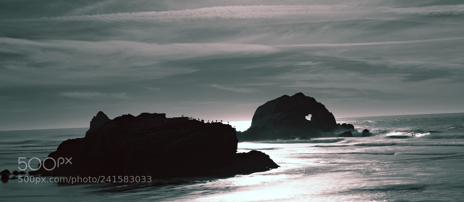 Sony a7 sample photo. Nature's love photography