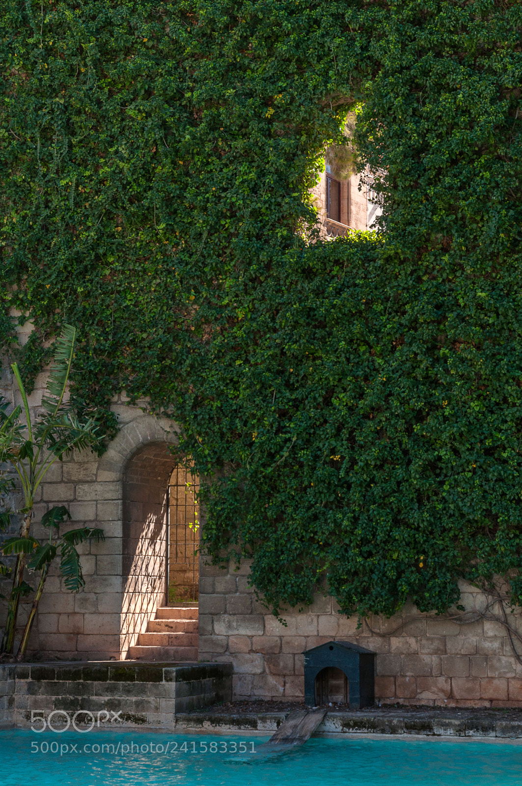 Nikon D90 sample photo. Minimalism palma photography