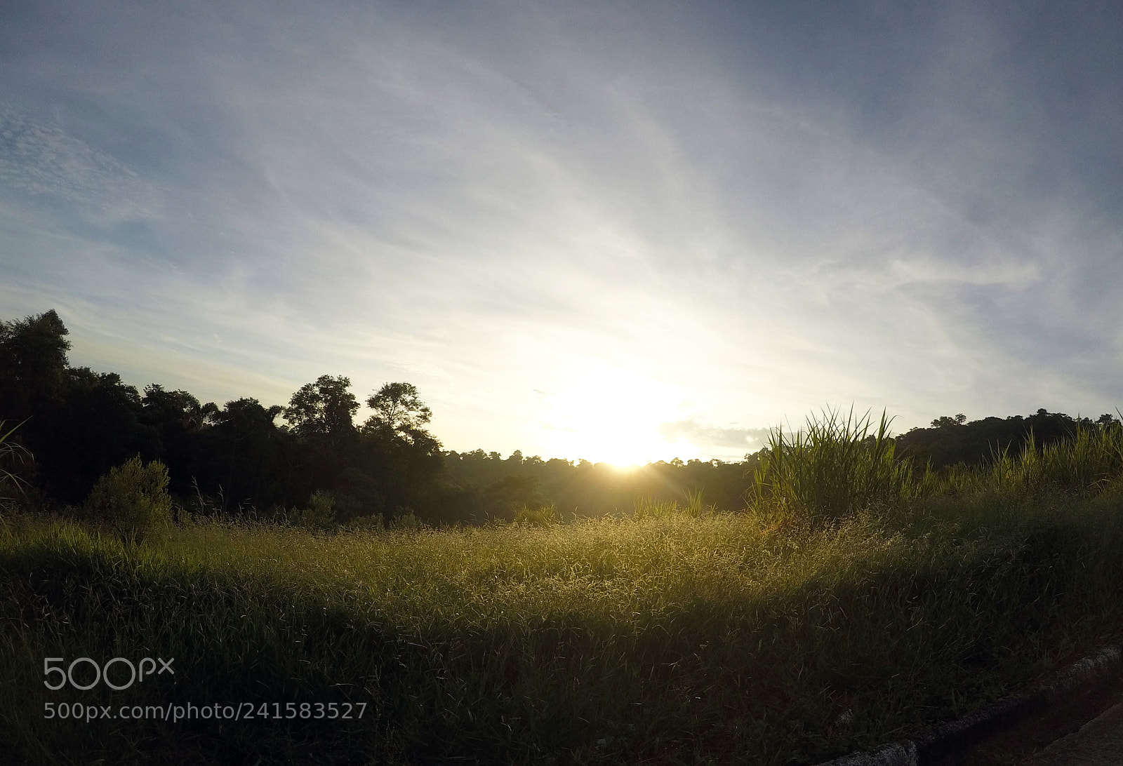 GoPro Hero5 Black sample photo. Nature photography