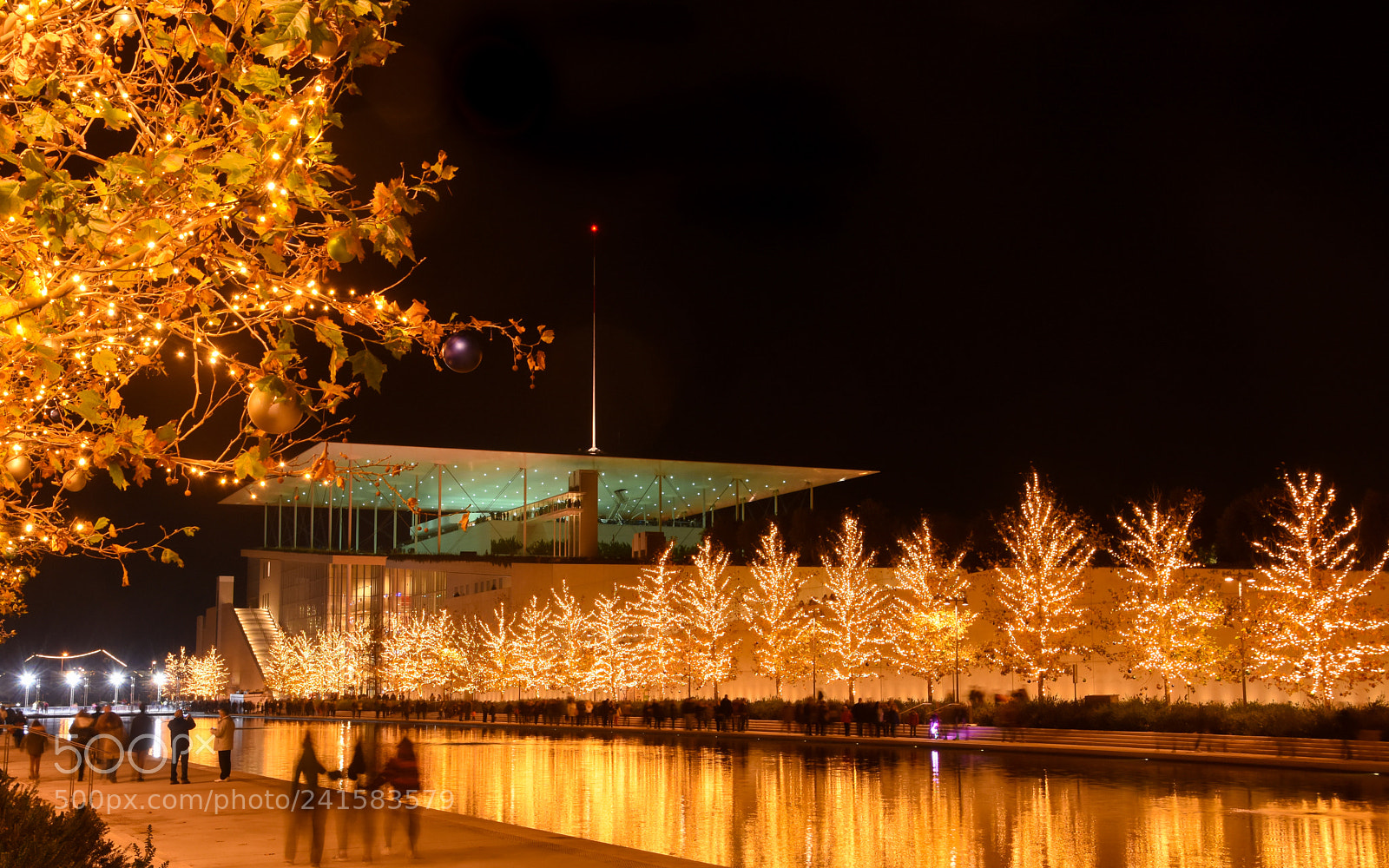 Nikon D7200 sample photo. Snfcc last days of photography