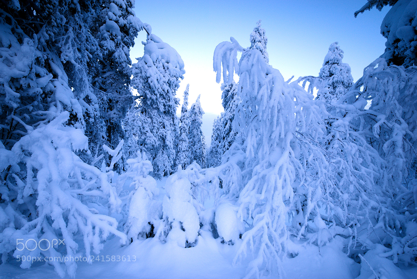 Pentax K-1 sample photo. Winter view photography