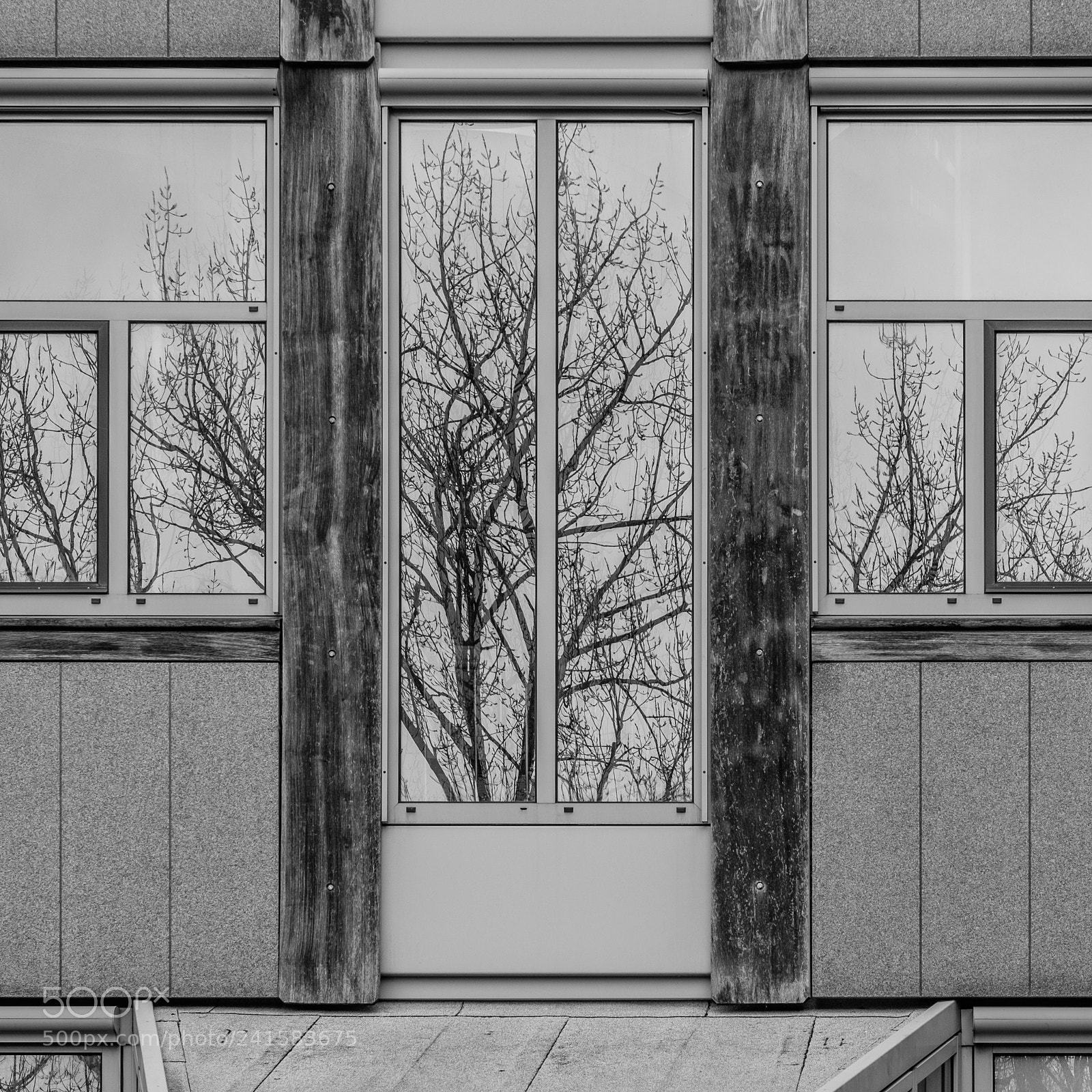 Fujifilm X-T2 sample photo. Nikon nederland photography