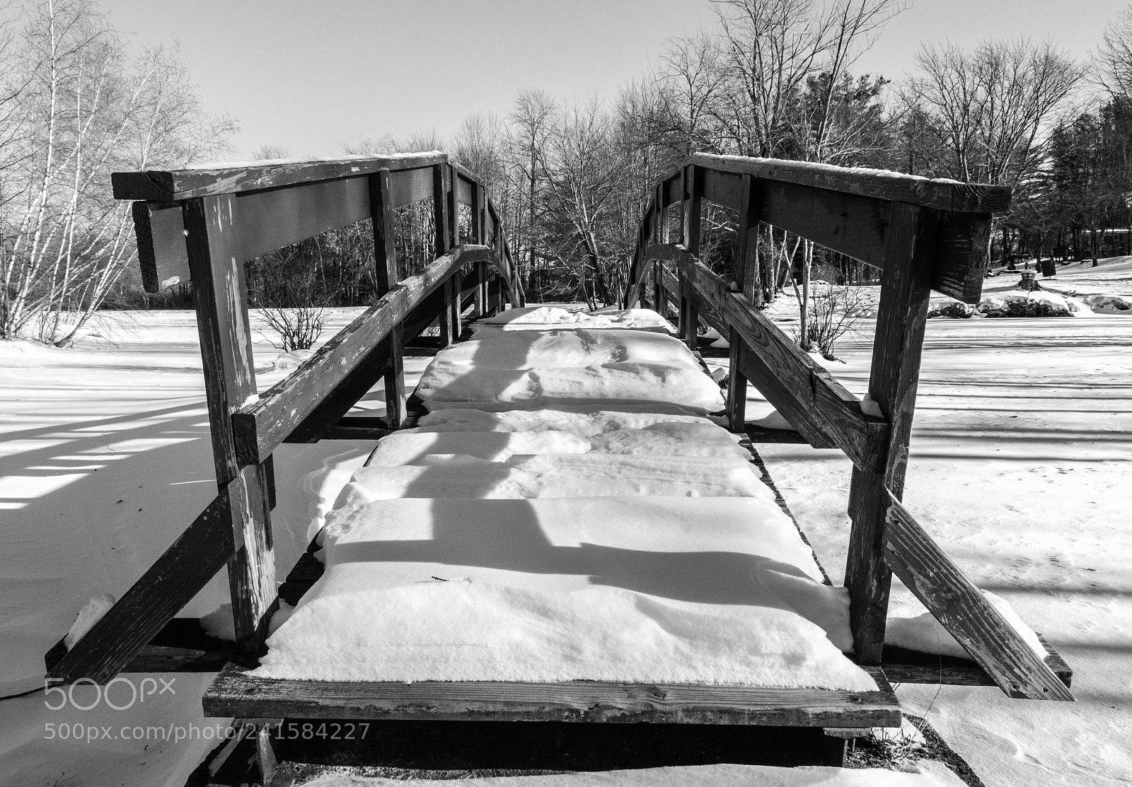 Canon EOS 550D (EOS Rebel T2i / EOS Kiss X4) sample photo. Frozen footbridge photography