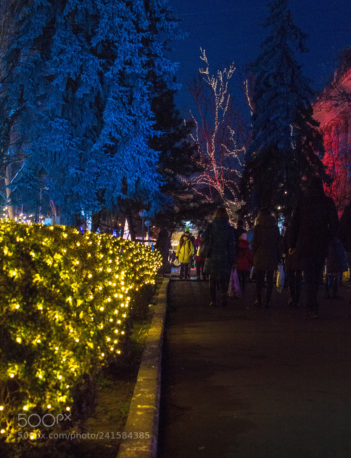Nikon D3200 sample photo. Red-blue-yellow photography