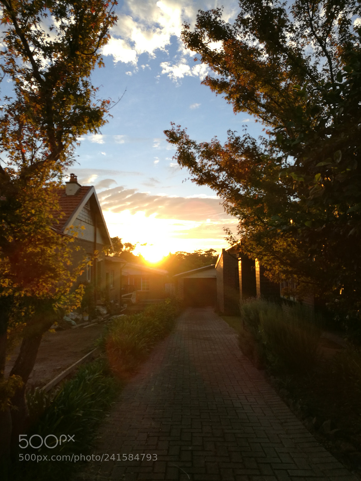 HUAWEI P9 sample photo. Untitled photography