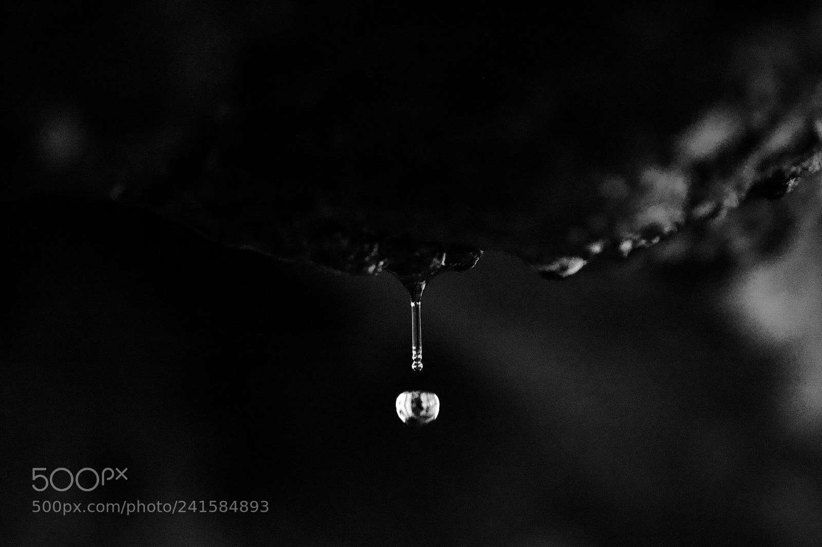 Nikon D3100 sample photo. Suspended moment photography