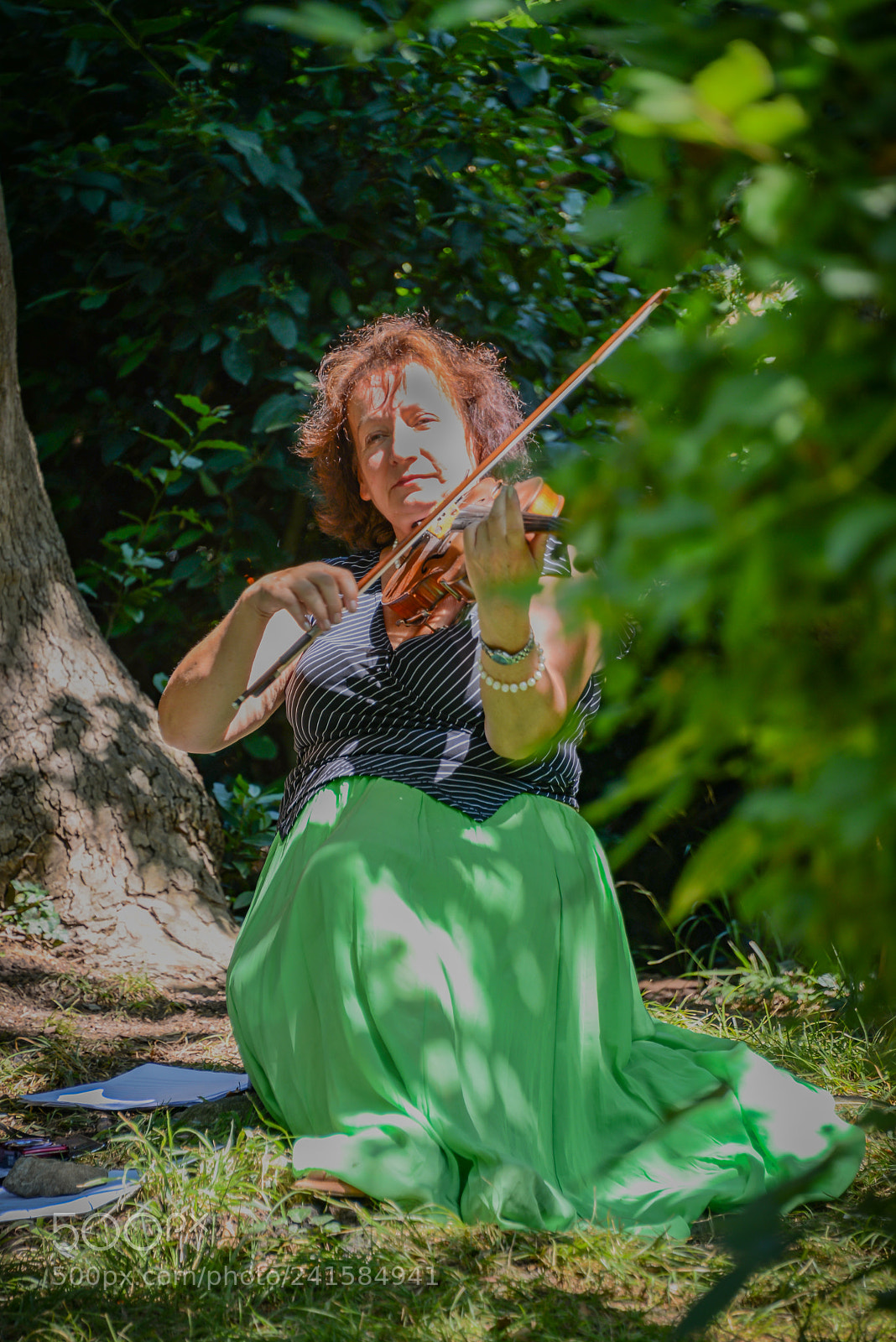Nikon D600 sample photo. The violinist photography