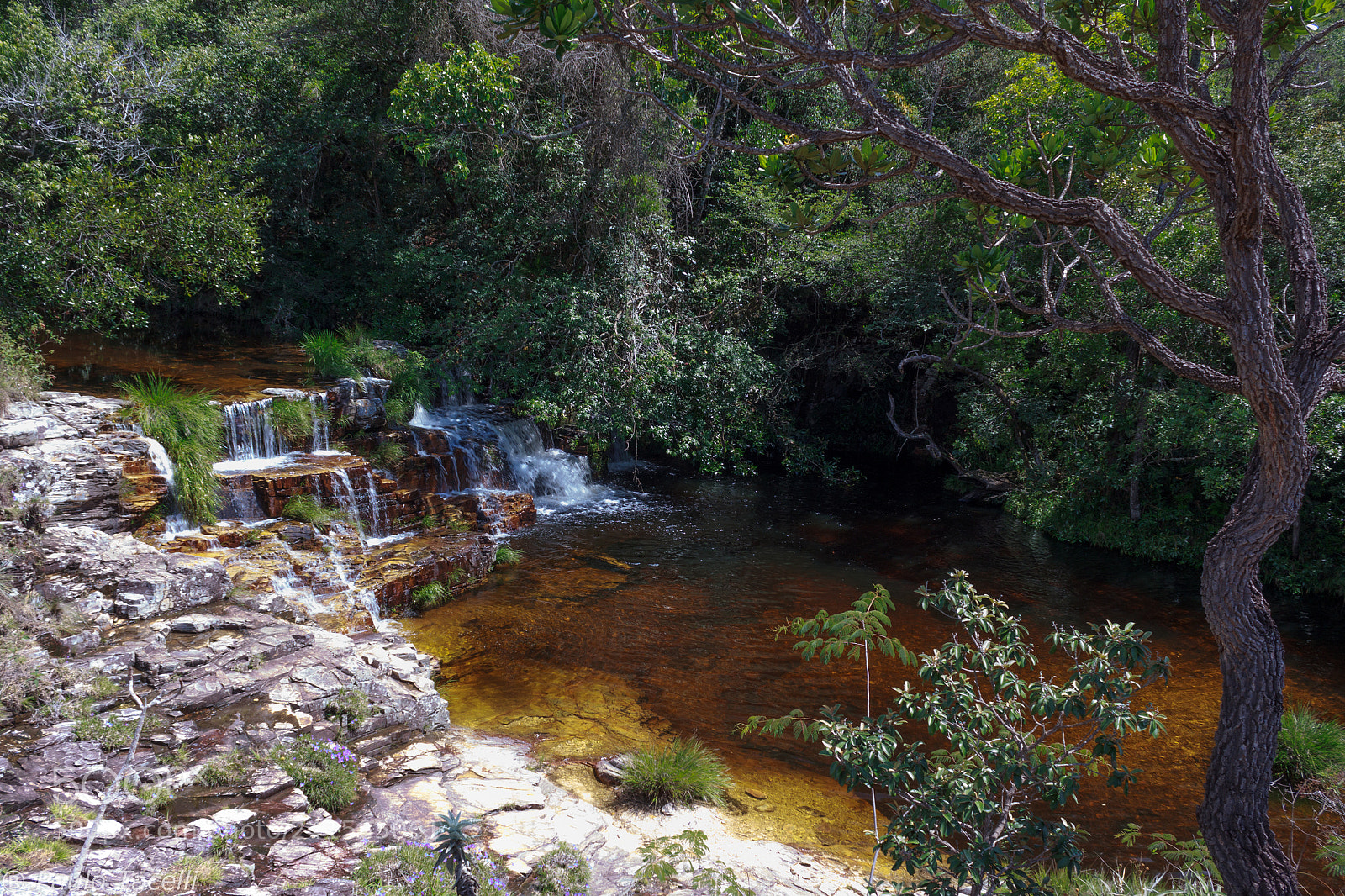 Canon EOS 1200D (EOS Rebel T5 / EOS Kiss X70 / EOS Hi) sample photo. Cachoeira viking photography