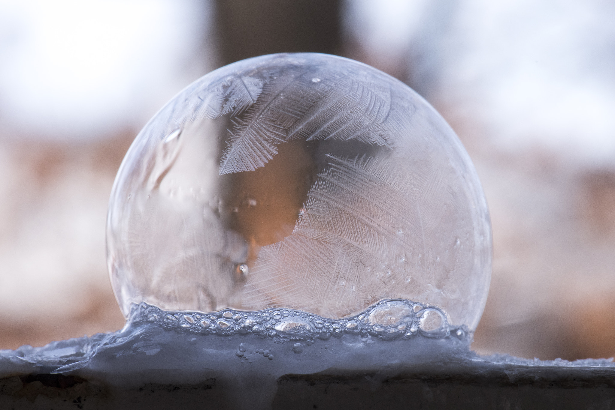 Nikon D810A sample photo. Snow globe photography