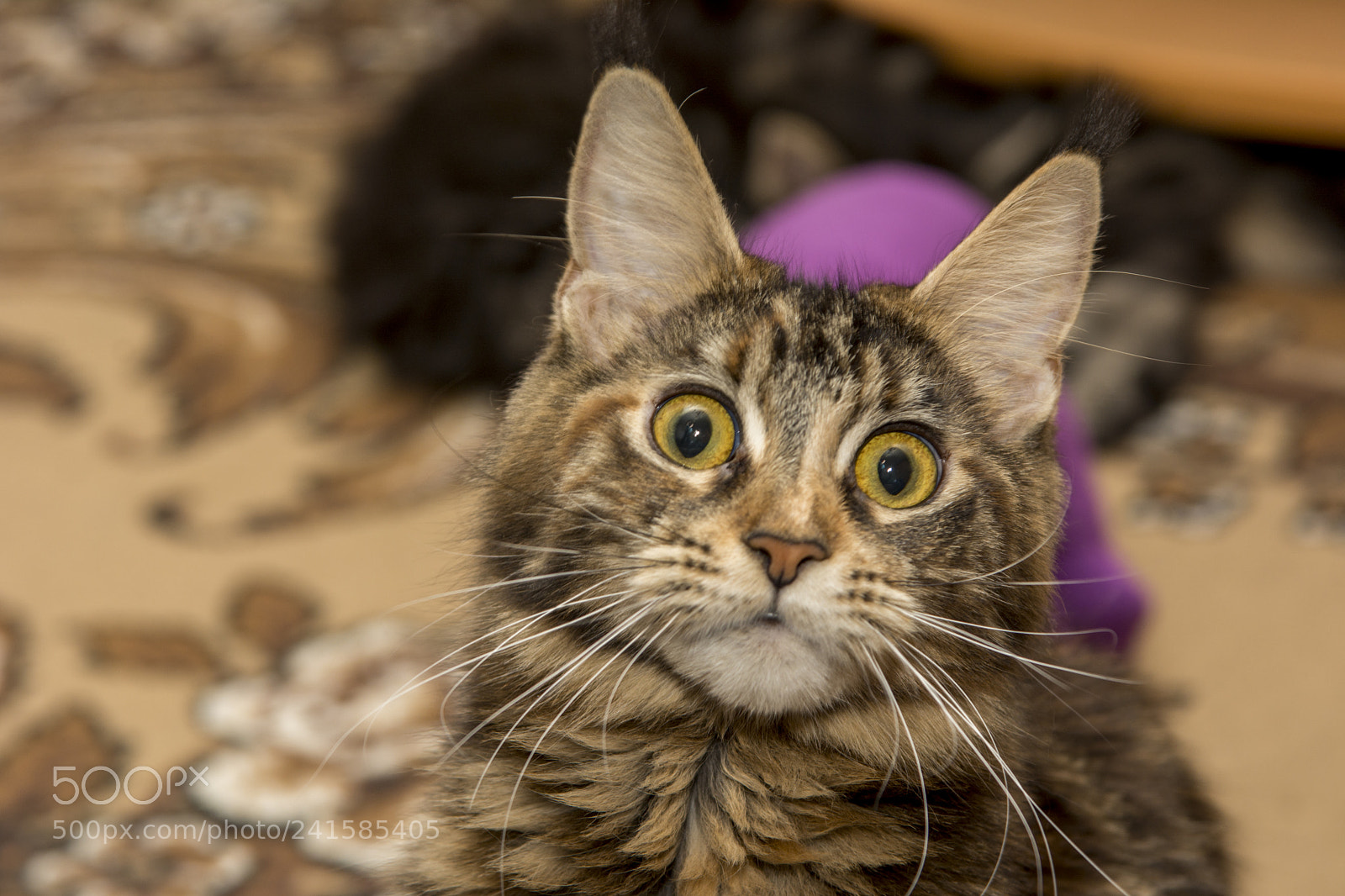 Nikon D7100 sample photo. Wow photography