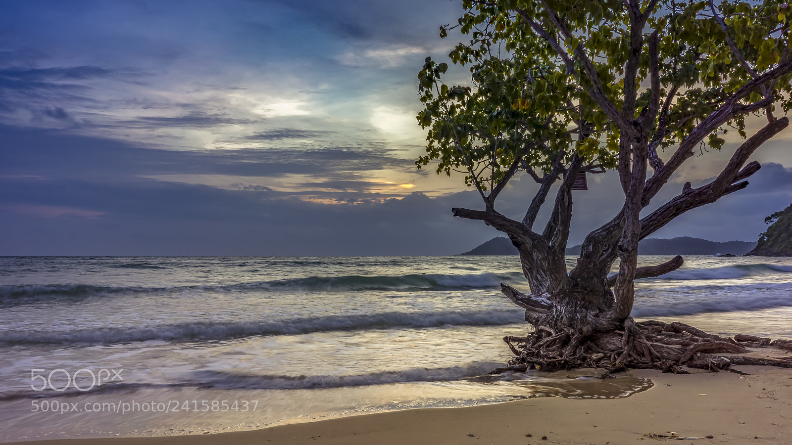 Sony a7R sample photo. Koh samet photography
