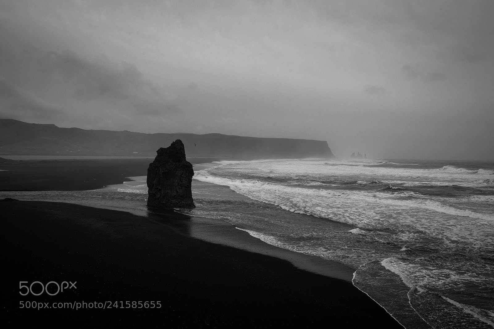 Nikon D3X sample photo. Black beach i photography