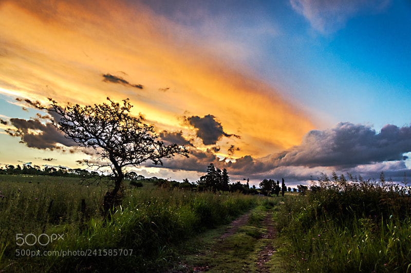 Nikon D7100 sample photo. Nubes photography