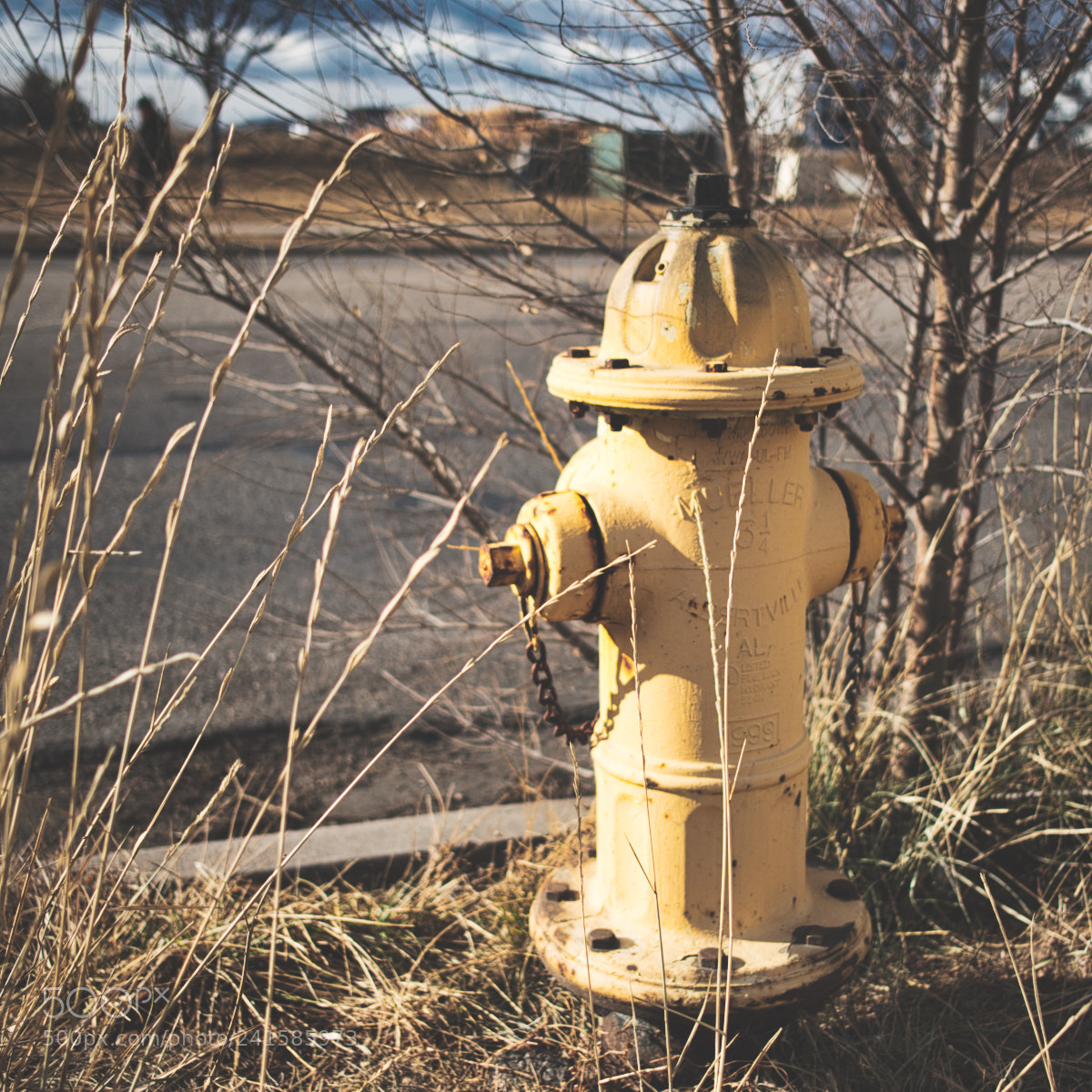 Fujifilm X-Pro2 sample photo. Fire hydrant, thornton co, 2017 photography