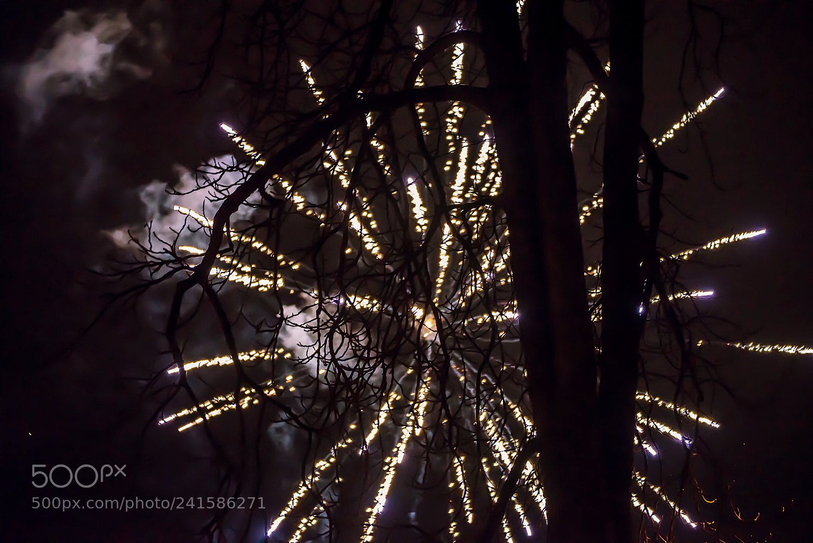 Nikon D600 sample photo. Firewors photography