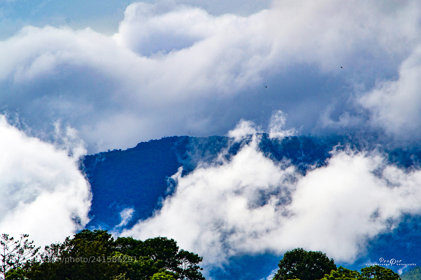 Nikon D3100 sample photo. Dsc photography