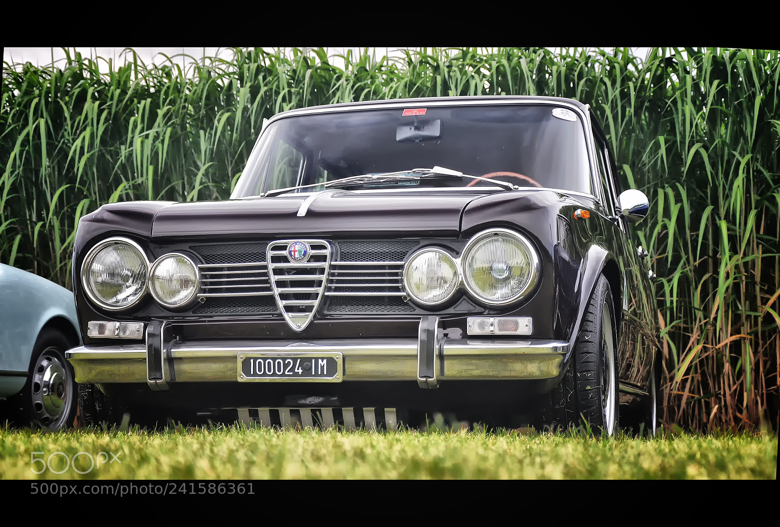 Nikon D90 sample photo. Alfa romeo giulia 1300 super photography