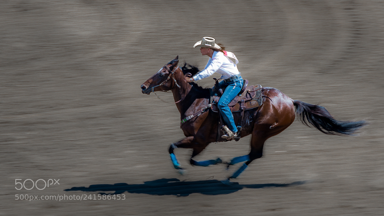 Nikon D800 sample photo. Ride the wind photography