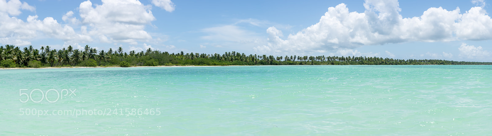 Nikon D7100 sample photo. Saona photography